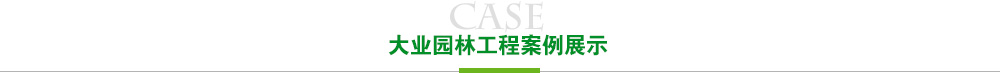 奇异果体育工程案例展示