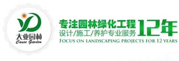 深圳奇异果体育